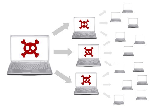 Multiparte Virus